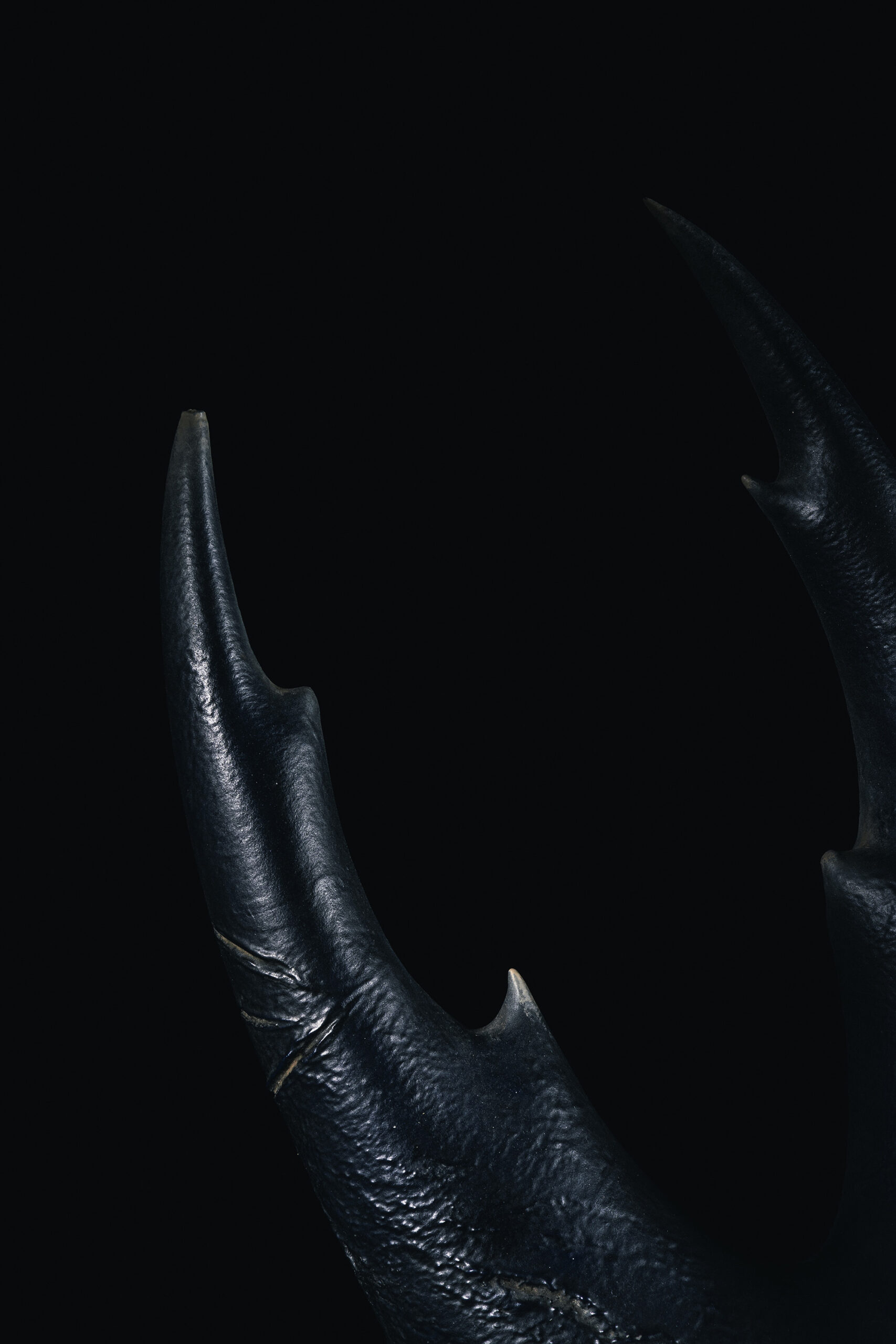 Hollow Knight Silksong Mantis Lord Helmet by Dantes Workshop 5
