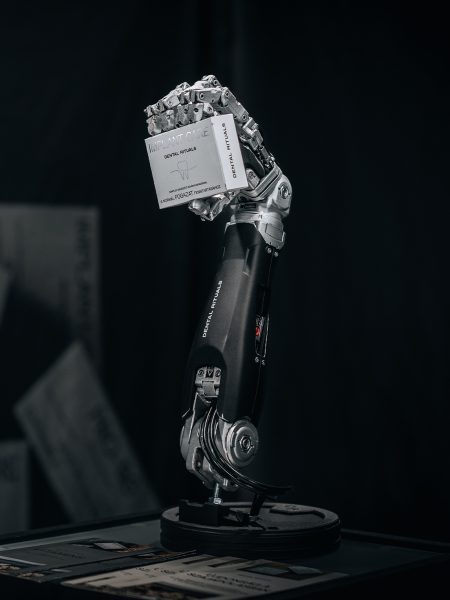 DR x DW Arm